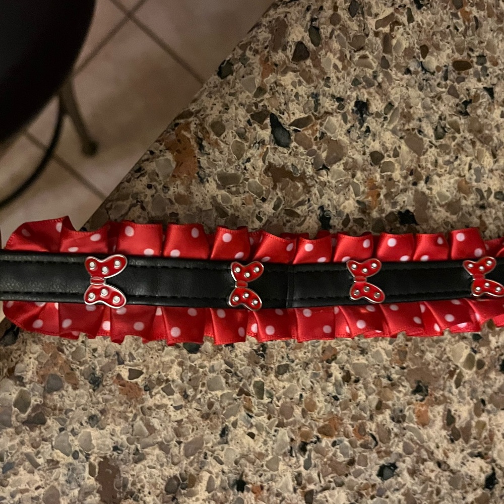 Disney Minnie mouse dog leash small dogs